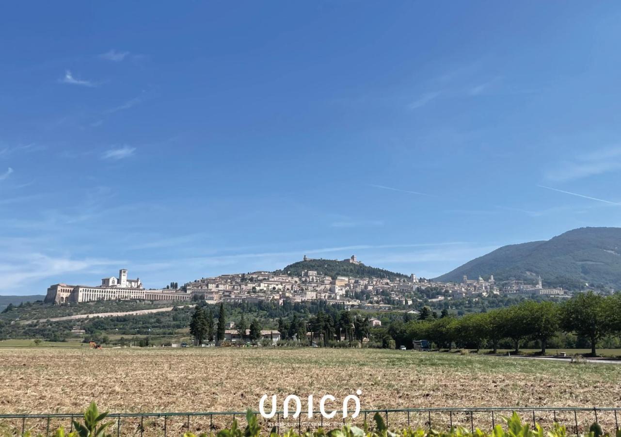 Villa Unica Assisi Agri-Charming House Exterior foto